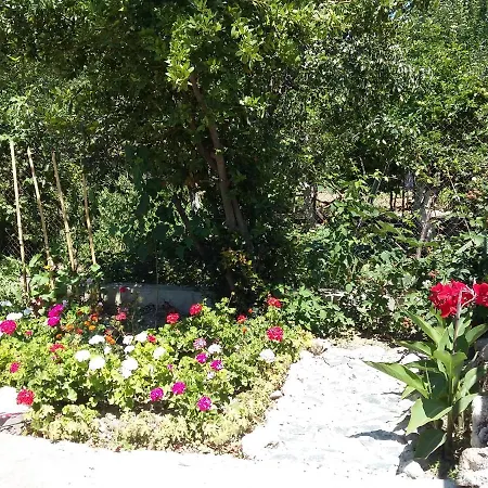 ヴィラ Sunny Day *