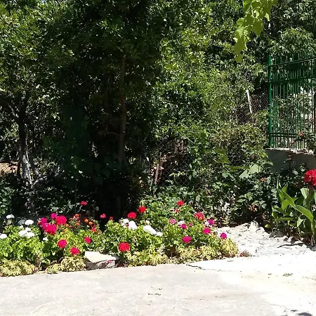 ヴィラ Sunny Day セインツ・コンスタンティン＆ヘレナ