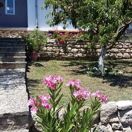 Sunny Day セインツ・コンスタンティン＆ヘレナ