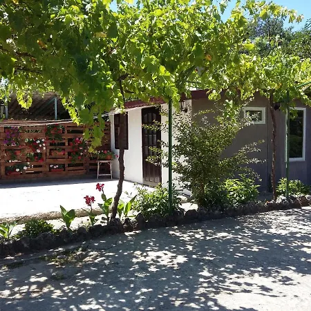 Sunny Day * セインツ・コンスタンティン＆ヘレナ