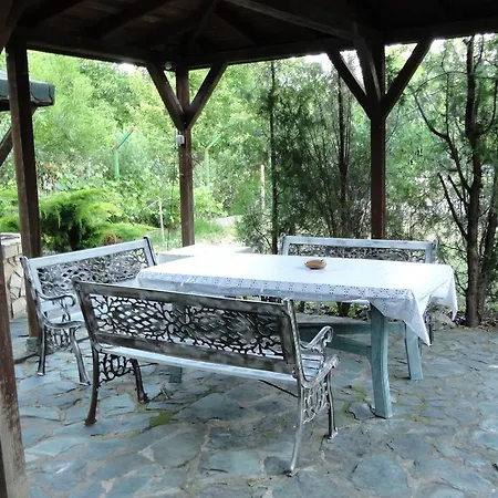 Sunny Day セインツ・コンスタンティン＆ヘレナ