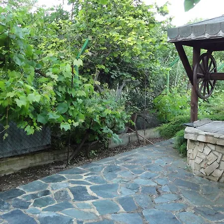 Sunny Day ヴィラ *